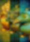 453342478_878277724156792_9087873224785411342_n.jpg